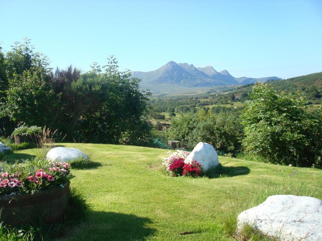 Ben Loyal Hotel Tongue Rum bild