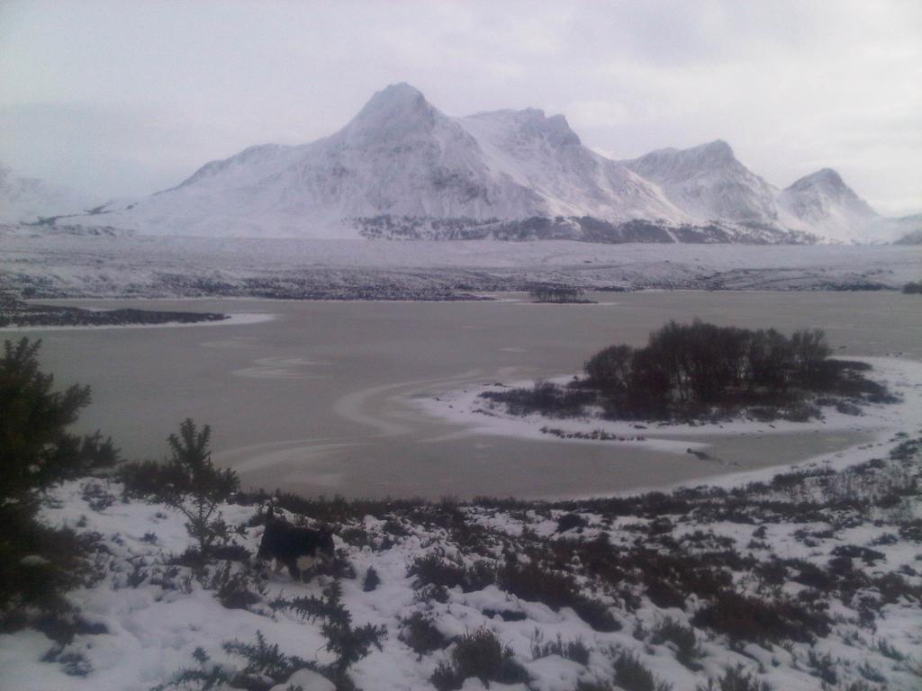 Ben Loyal Hotel Tongue Exteriör bild